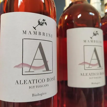 La Residenza Di Campagna Landhuis Manciano