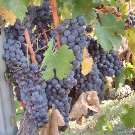 Landhuis La Residenza Di Campagna *