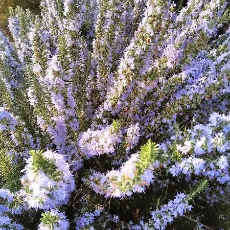 La Residenza Di Campagna Manciano